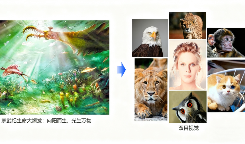 1-进化-官网.png